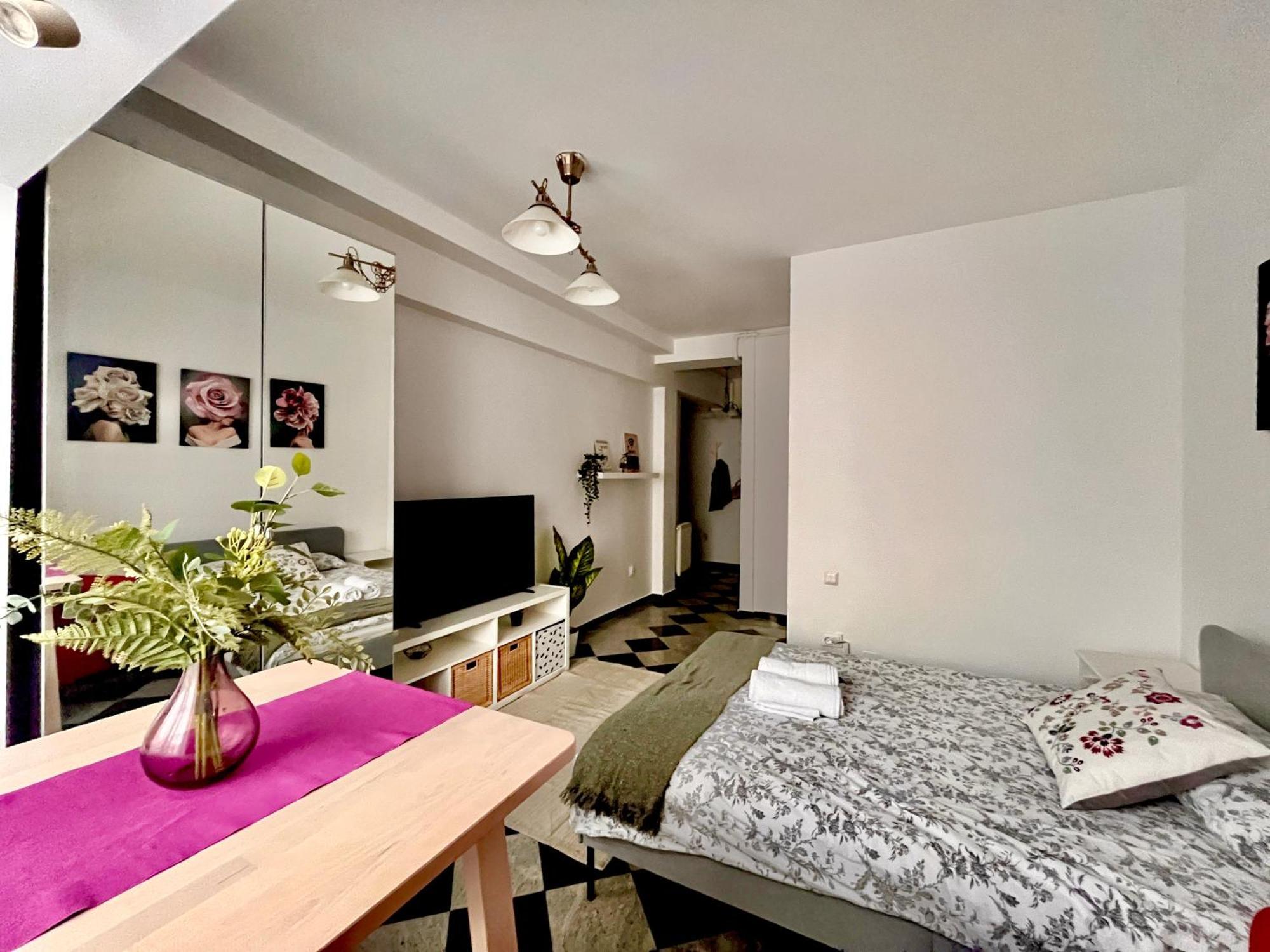 Victoriei Spacious Studio Bucharest Exterior photo